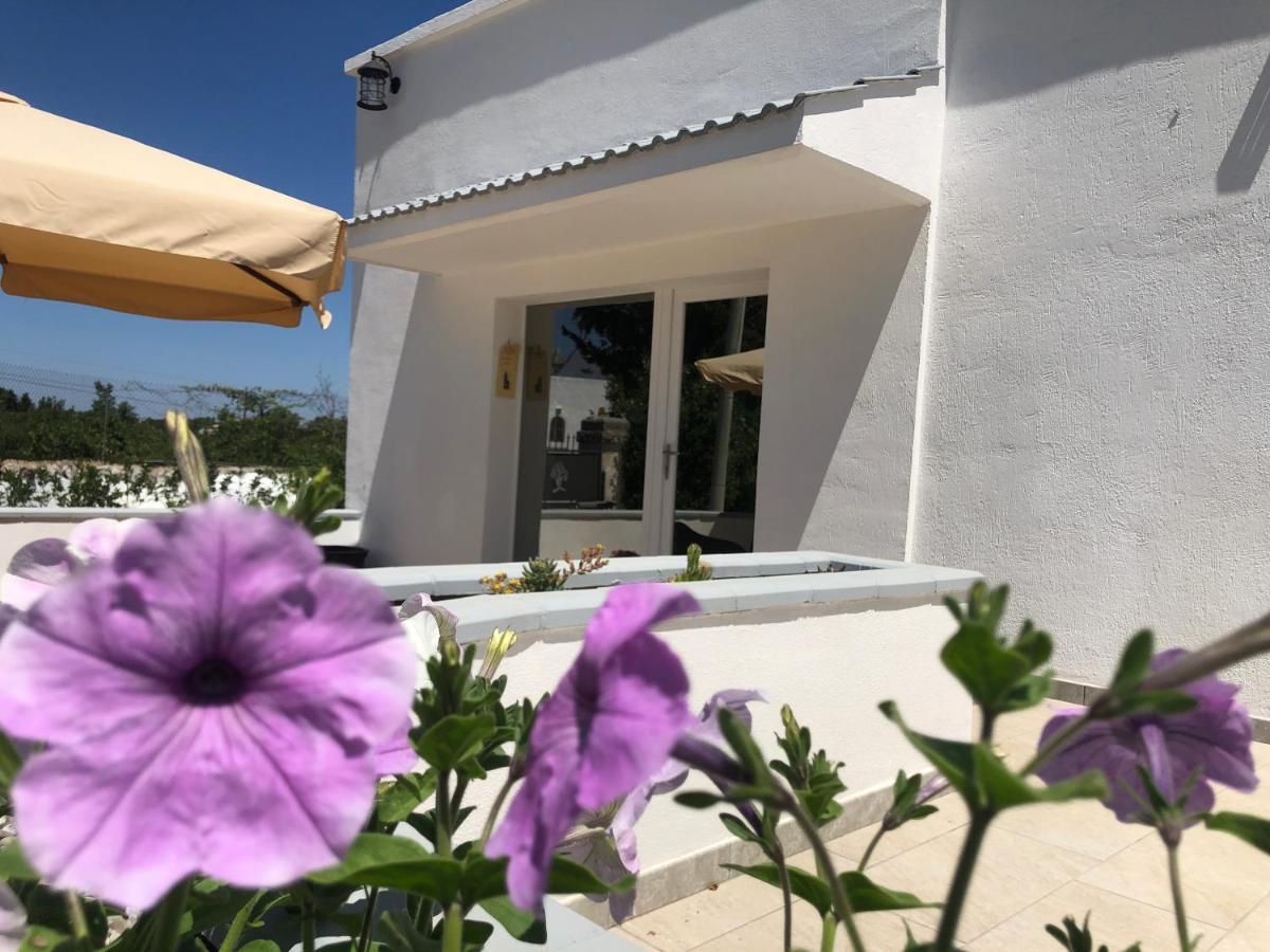 Casa Vacanza I Cedri Μαρτίνα Φράνκα Εξωτερικό φωτογραφία